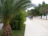 Crekvenica-palmová kolonáda