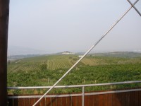 Pohled z rozhledny do obce Zaječí na vinařství U Kapličky