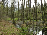 bývalý Holský rybník - vypuštěn při stavbě státní dráhy Břeclav - Praha 