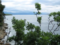 Selce - vápencové pobřeží s vyhlídkou na ostrov Krk a NP Svernij Velebit
