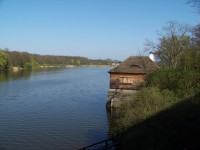 Novozámecký rybník 2009