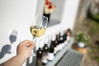 PŘÁTELÉ ubytování a vinný sklep