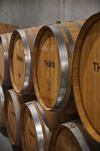 Vinařství THAYA