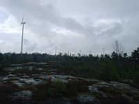 Les větrných elektráren