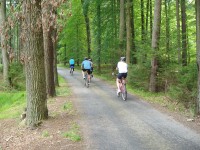Pro cyklistiku na třeboňsku jsou ideální zpevněné lesní cesty