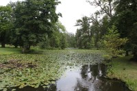 Zámecký rybník kde so točily exteriéry filmu Šíleně smutná princezna