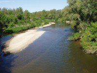 Řeka Morava z lobodického mostu