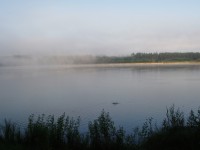 Ráno u rybníku Sbobodný