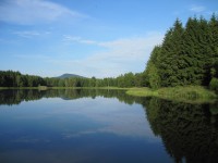 Veverský rybník u Nových Hradů