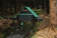 Tetřeví studánka v Jizerských horách
