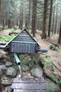 Tetřeví studánka v Jizerských horách