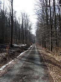 po odbočující lesní cestě vlevo z asfaltky asi po 200 m pod mrazové sruby přijdete