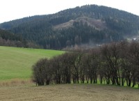 Šaumburské hradní kopce
