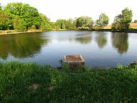 Machovský rybník