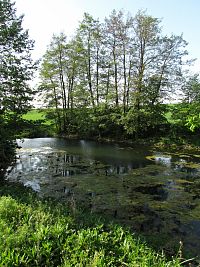 Potoky - rybníky