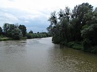 pohled z mostu na řeku Moravu