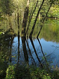 Zlín - Přílucký rybník