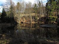 lesní rybník nad obcí