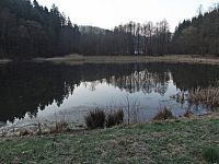 Neratovský rybník