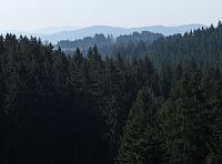 výhled na Bílé Karpaty - Hložec