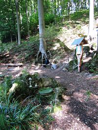 Zuzančina studánka