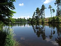 Česká Kanada - rybník Zvůle