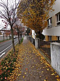 Podzimní courání Kroměříží