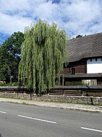 kostel sv.Trojice ze Sokolské ulice