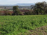 výhled na Bařice, Pomoraví a Hostýnské vrchy