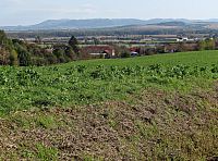 Bařice - drobné památky a zajímavosti obce