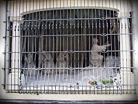 sousoší Kristus v Getsemanské zahradě