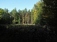 silnička k prvnímu cíli cesty