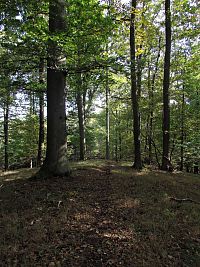 hlavní vrchol Hřebene