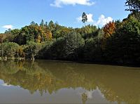 Zadní Zboženský rybník