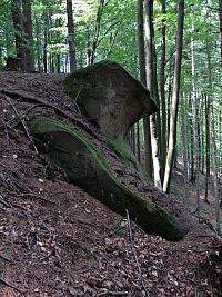 další bizarní hříčky přírody