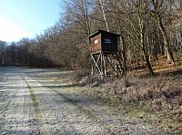 výstup zamrzlou loukou k lesu