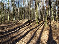 U Mohylových hrobů