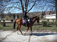 na slušovickém dostihovém areálu