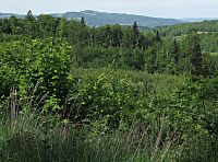 omezené výhledy na Vsetínské vrchy