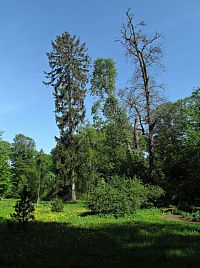 v Podzámecké zahradě