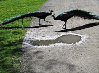 Do kroměřížské Podzámecké zahrady a okruh méně známou částí města