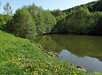 rybník Komonec