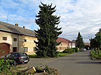 třebětická náves