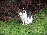 uvítaní v Ludslavicích