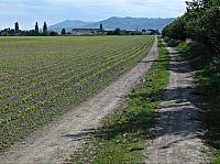 cesta z Ludslavic do Kurovic