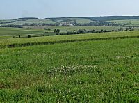 vzdálené Zborovice