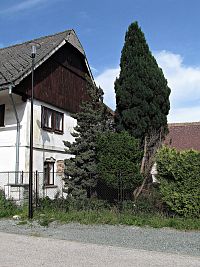Šolcova