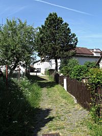 západní strana rynku