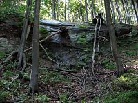 Ze Salaše přes Poscanou skalu do Cetechovic