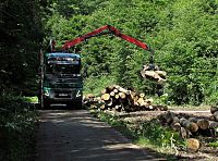 kamion nakládající drvo